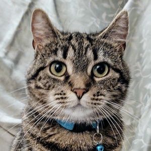 Meet your Posher, Ane